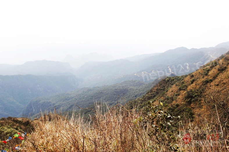 _MG_9639.jpg