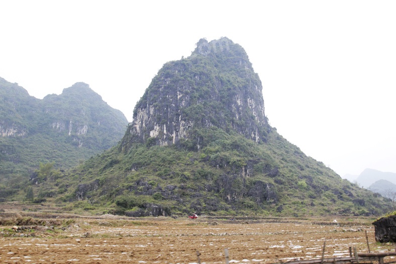 _MG_9640.jpg