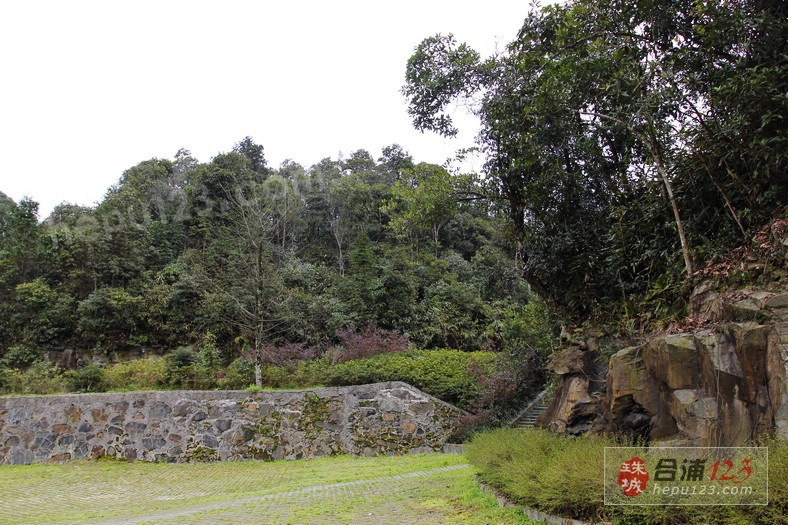 _MG_9454.jpg
