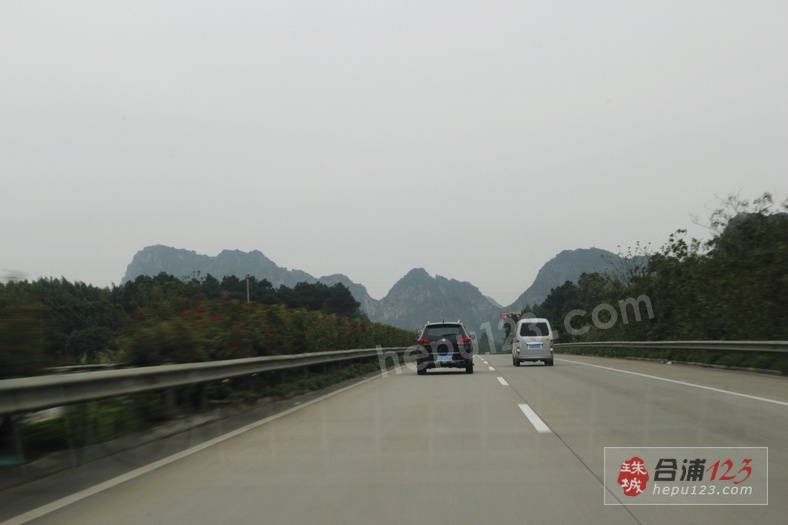 _MG_9480.jpg