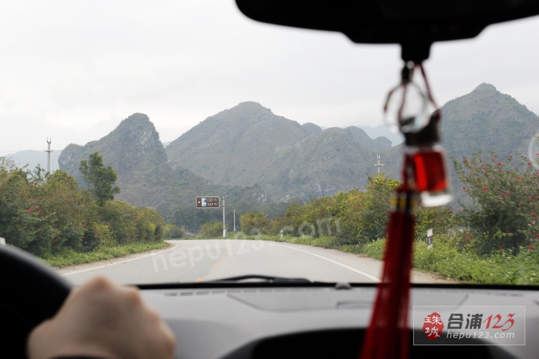 _MG_9525.jpg
