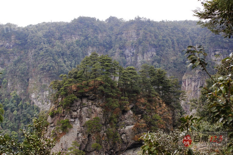 _MG_9432.jpg
