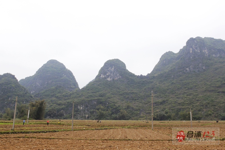 _MG_9612.jpg
