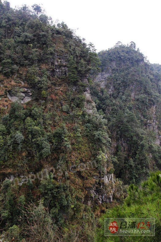 _MG_9428.jpg