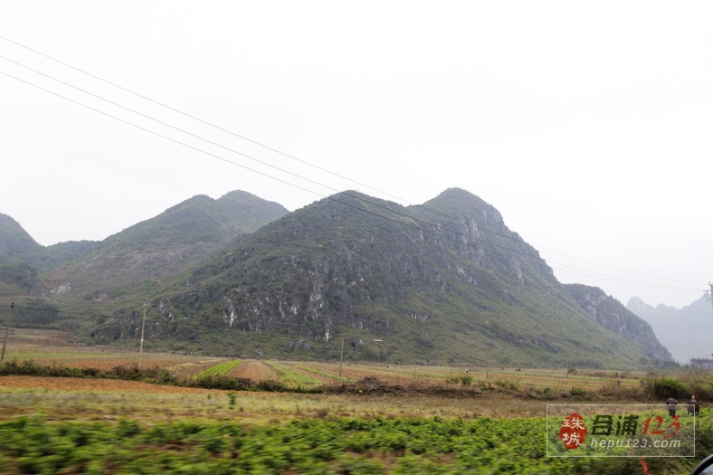_MG_9571.jpg