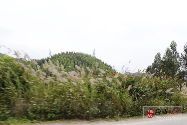 _MG_9502.jpg