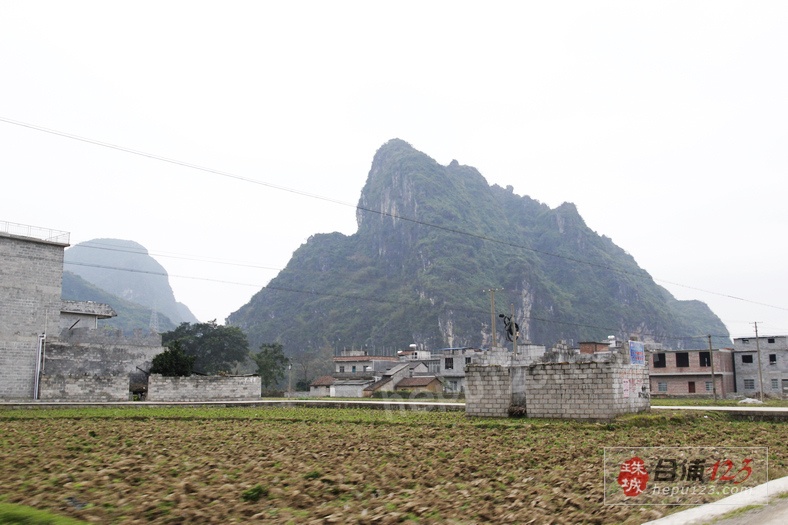 _MG_9598.jpg