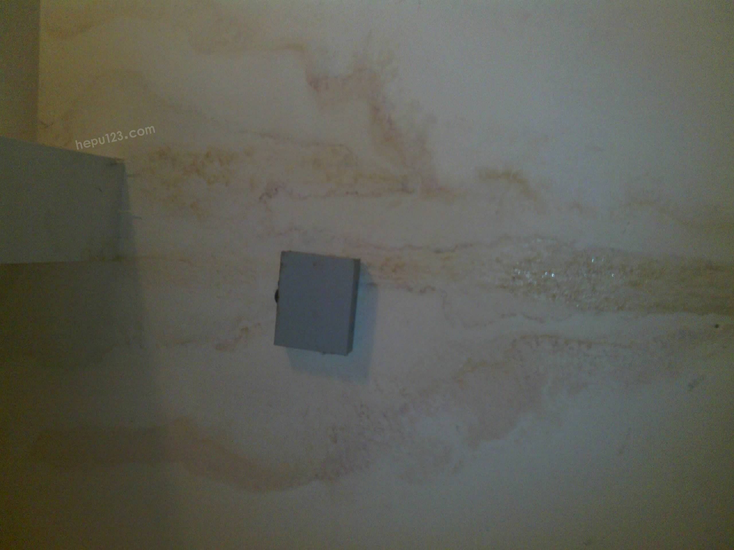 IMG_20130128_190508.jpg
