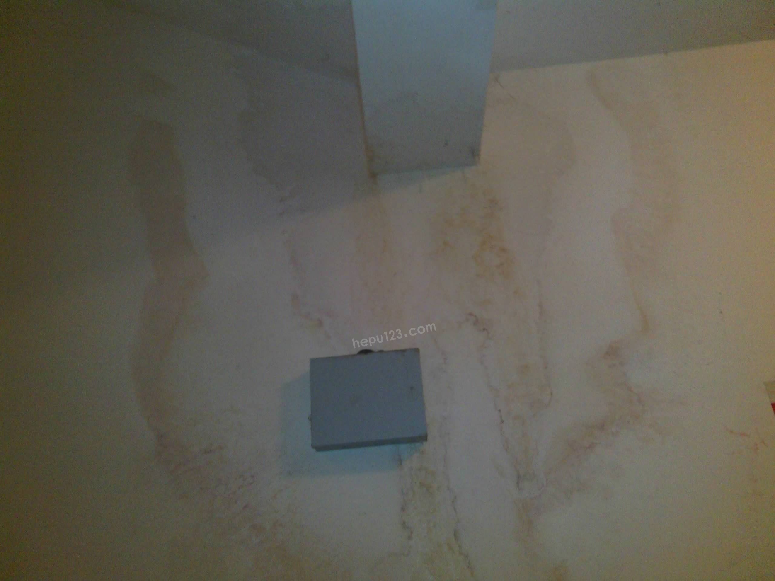 IMG_20130128_190516.jpg