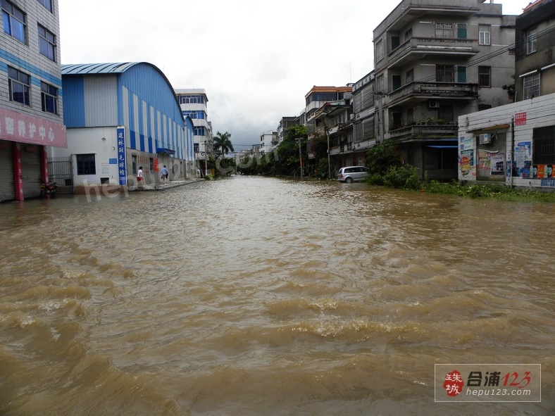 DSCN2953.jpg