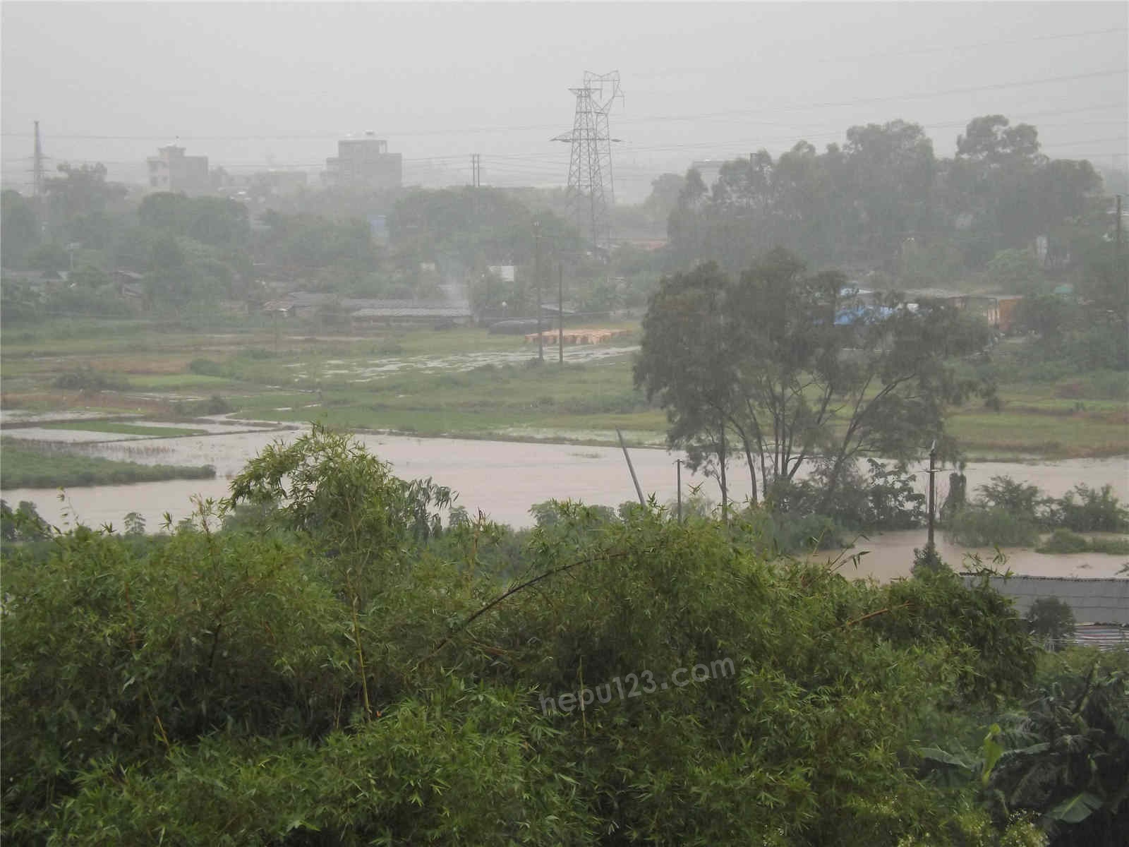 DSCF11520.jpg