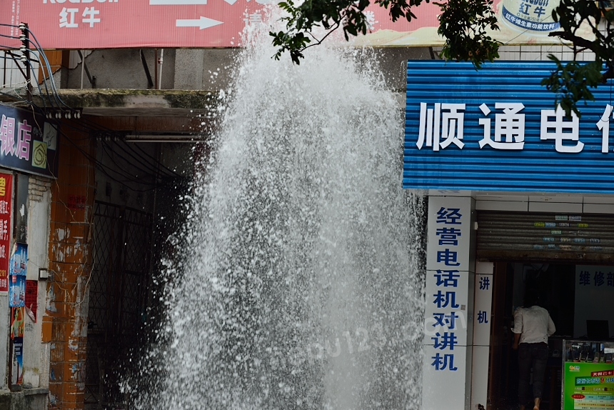 DSC_9916.JPG
