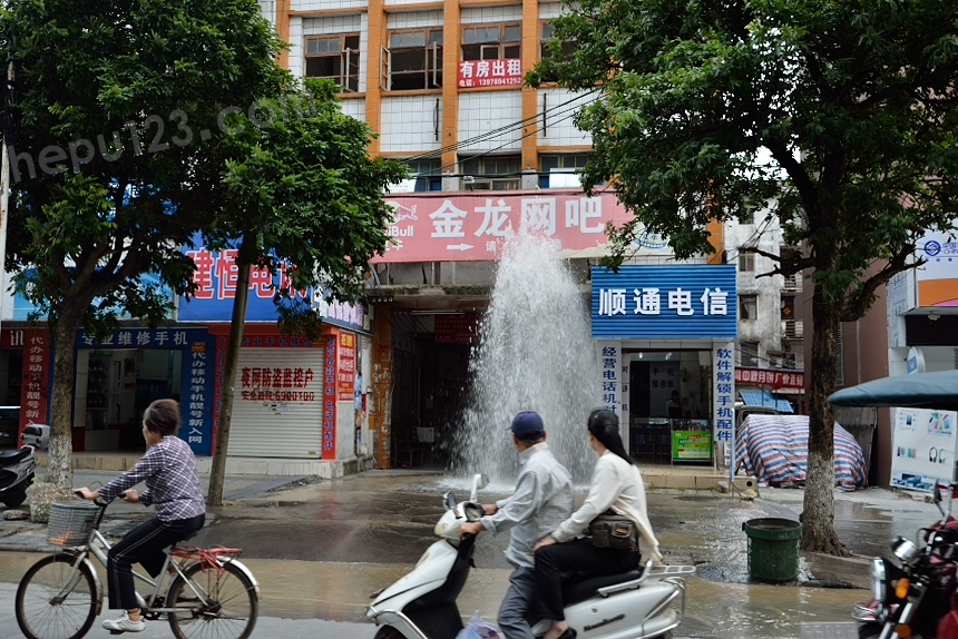 DSC_9899.JPG