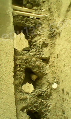 IMG_0055.JPG