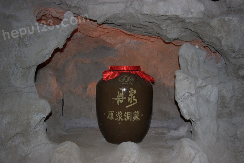 IMG_7310.jpg