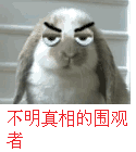 ̬.gif