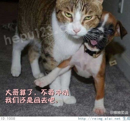 磬˰ɲҪ嶯ǻǻȥ.jpg