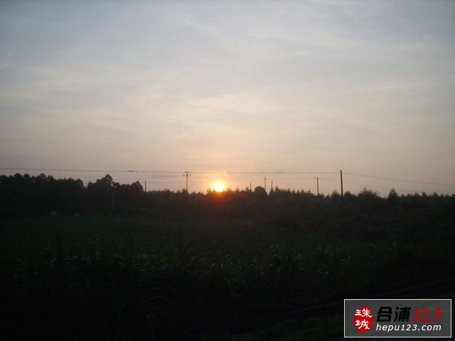 S8303364.JPG