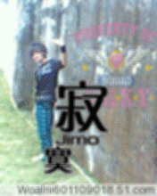 5.gif