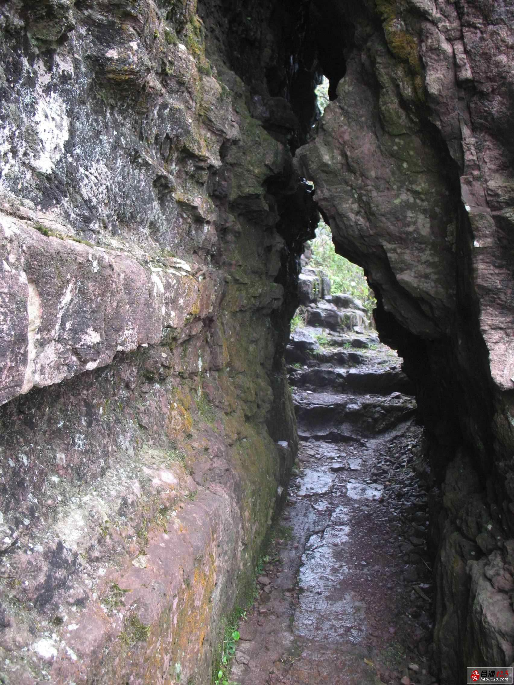 IMG_7975.jpg