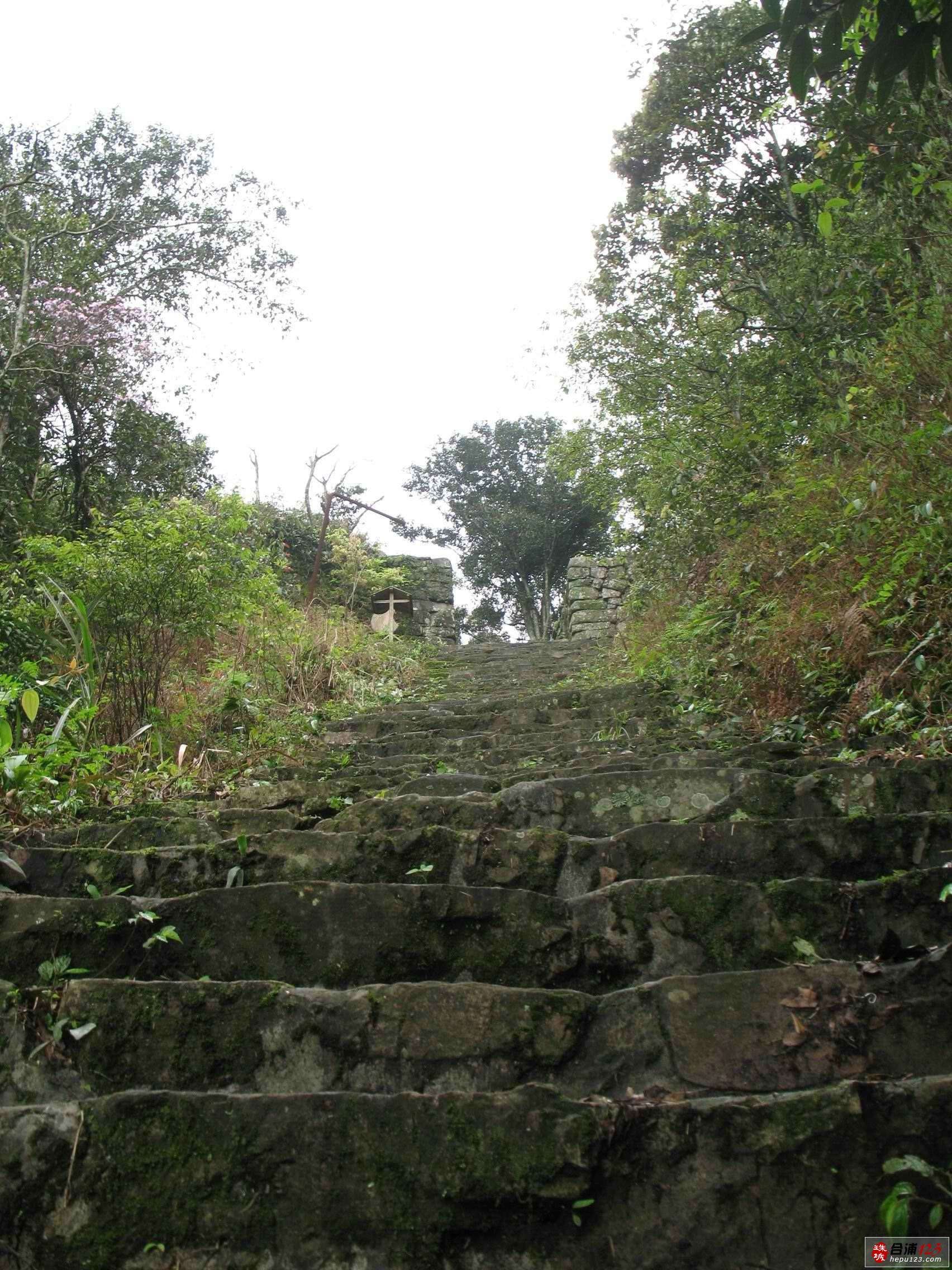 IMG_8344.jpg