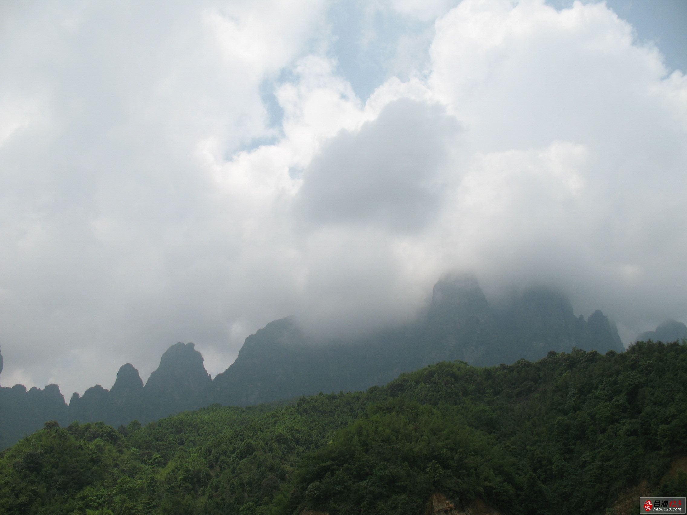 IMG_7822.jpg