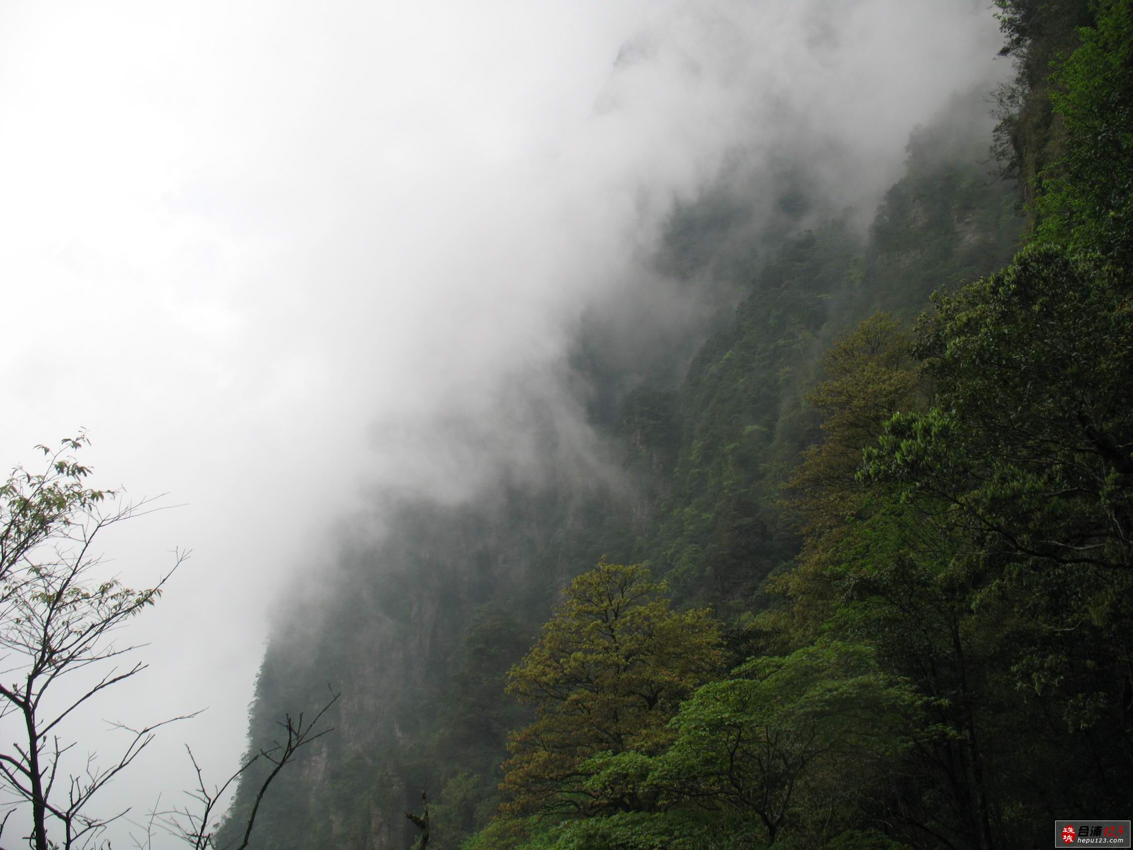 IMG_7870.jpg