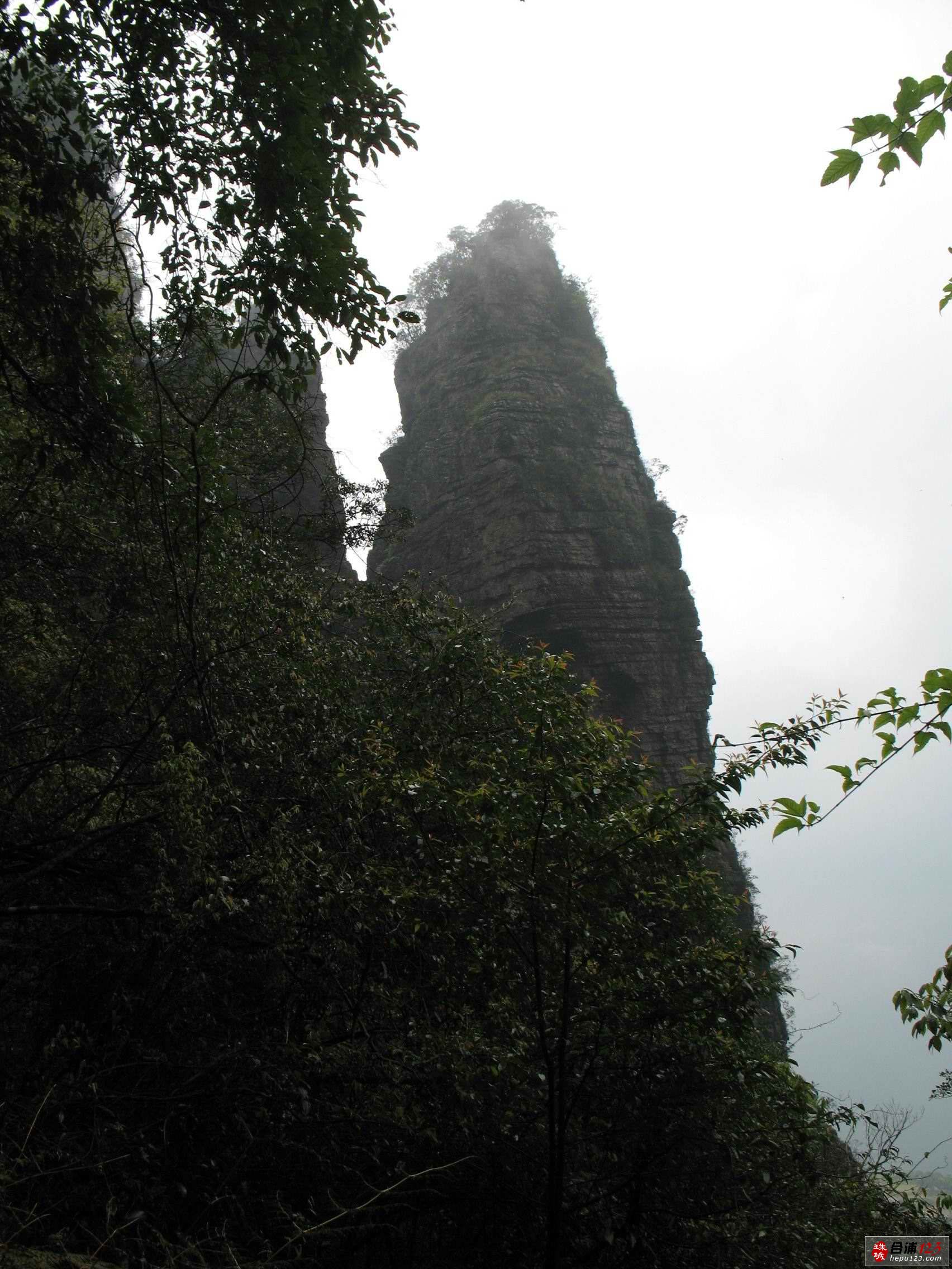 IMG_7860.jpg