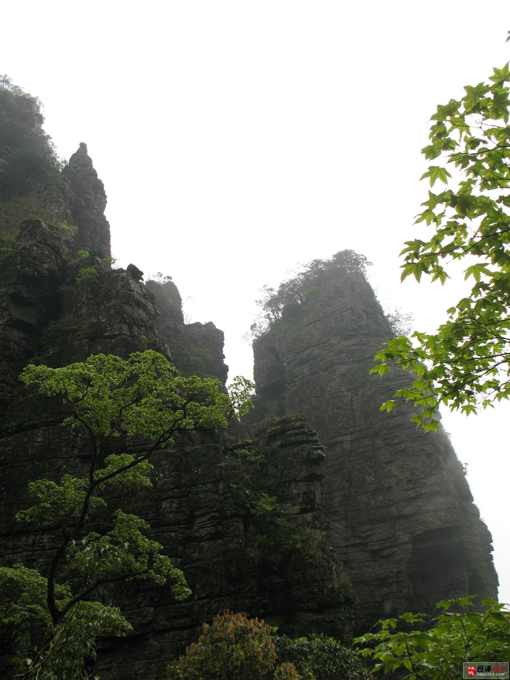 IMG_7867.JPG
