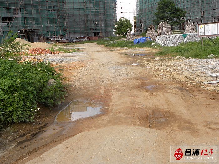 DSCN9879.jpg