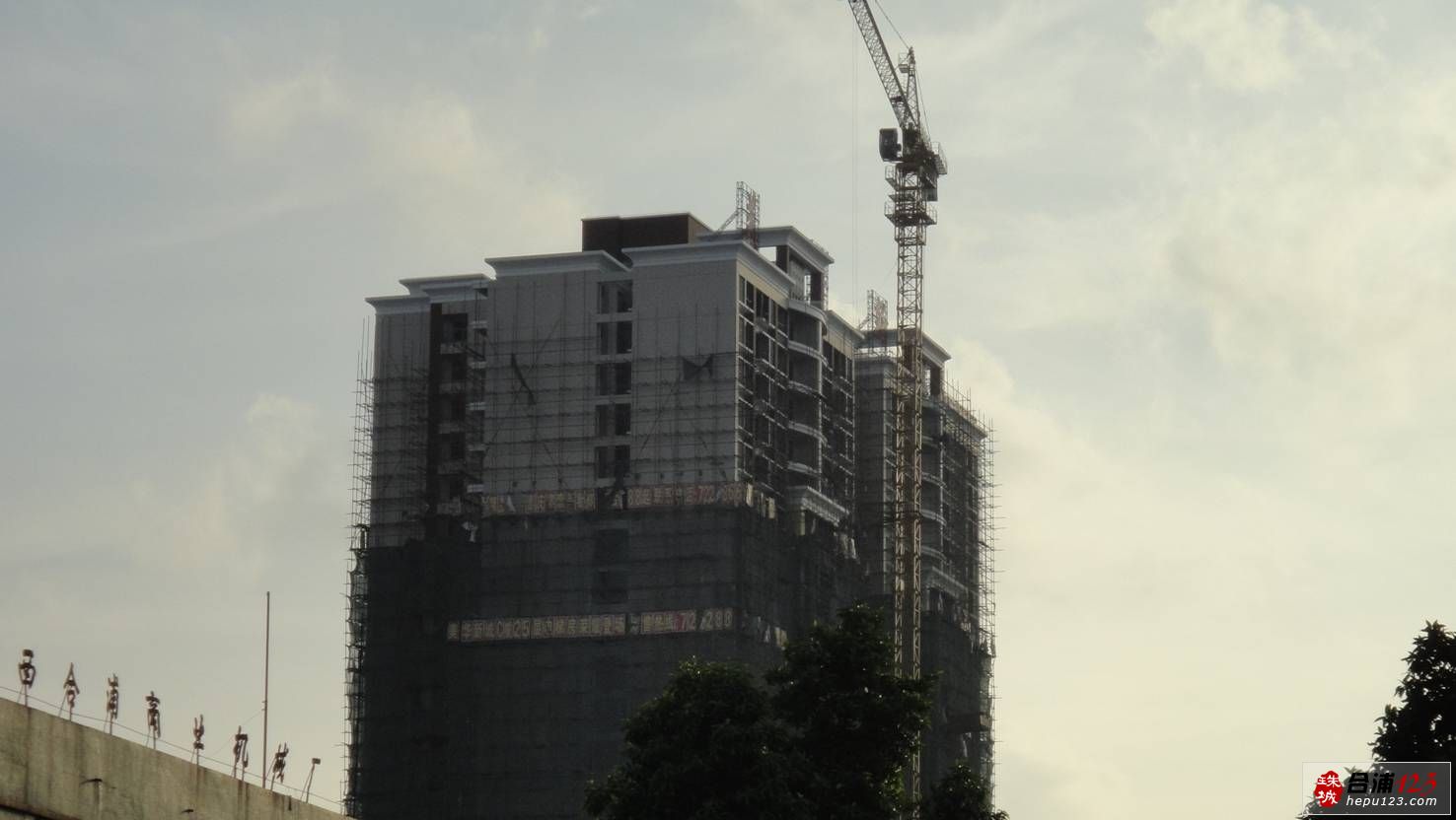 54.jpg
