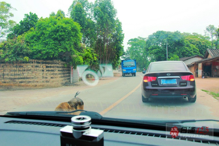 20120416_b8c45b9926783932ba1781UqFqrQA7Am_conew1.jpg