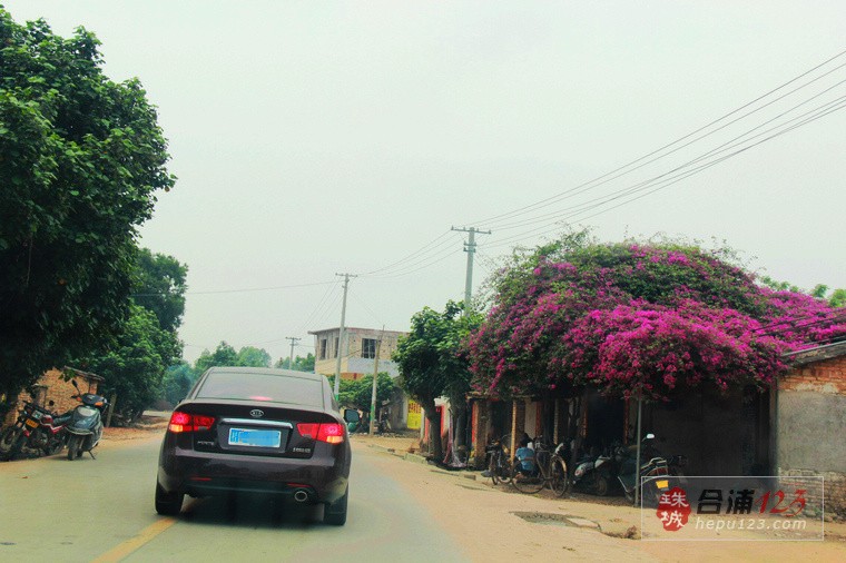 20120416_d28ab0e20d46b95ce0875dDZdieRcDEi_conew1.jpg